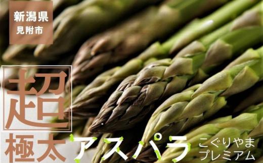 
                  「超」極太アスパラ こぐりやまプレミアム1kg（ファーム小栗山）
                