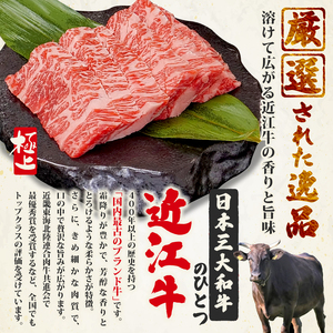 近江牛 サイコロステーキ 500g OS023 ステーキ