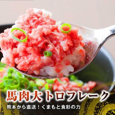 ふるさと納税 高森町 【国産馬刺し】熊本直送　大トロフレーク500g(高森町)