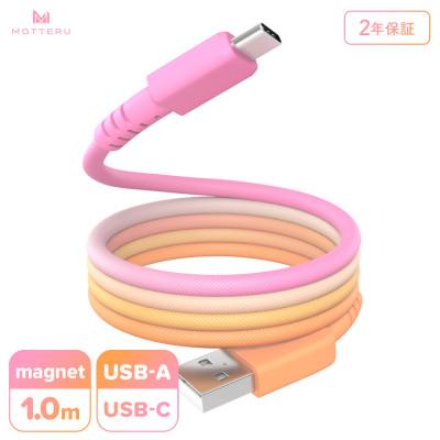ふるさと納税 海老名市 マグネットケーブル グラデーション USB-A to USB-C (MOT-MGGAC100-FN)