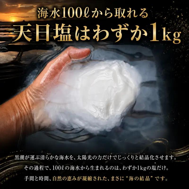 完全天日塩 田野屋 紫蘭 天然塩 100g×3袋 TN-02