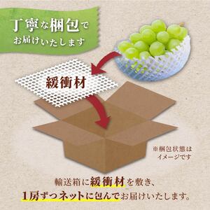 【期間限定発送】 ピオーネ シャインマスカット 2種 食べ比べ セット 約1.8kg