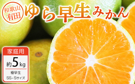 【ご家庭用 極早生】和歌山有田ゆら早生みかん約5kg(SS、Sサイズ)【美浜町】｜早生みかん フルーツ 果物 みかん※北海道・沖縄・離島への配送不可 ※2025年10月下旬～11月下旬頃に順次発送予定