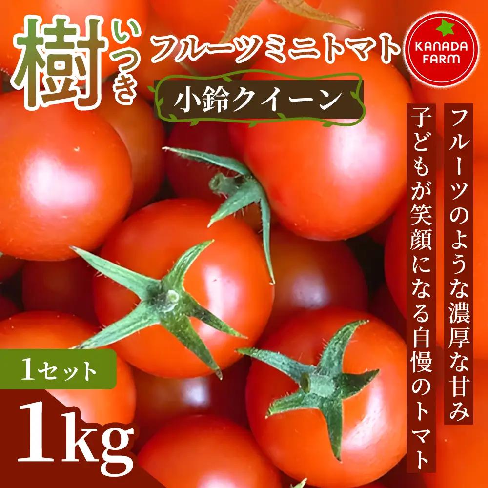 《先行予約》【フルーツのような濃厚な甘み】樹（いつき）フルーツミニトマト（小鈴クイーン）1kg 1セット 甘い野菜 デザート感覚 おやつ スイーツ感覚 サラダ用 そのまま食べる 旬 家庭用 贈り物 女性向け お取り寄せ 産地直送 愛知県 豊橋市