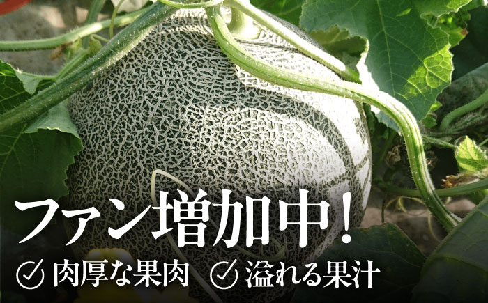 【数量限定】【先行予約】肥後グリーン メロン 2玉【合同会社 福福堂】 [ZCN003]
