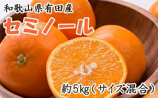 
和歌山有田産セミノールオレンジ約5kg(サイズ混合)★2025年４月中旬頃より順次発送【TM53】
