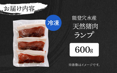 奥能登 穴水産 天然猪肉 ランプ 120g×5枚 計600g / 奥能登 能登半島 穴水町 お肉 にく 肉 ジビエ ランプ 猪 イノシシ いのしし 冷凍 天然 焼肉 焼き肉 ステーキ