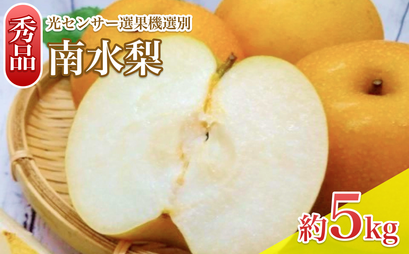 
            【9月上旬から発送予定】南信州生まれのジューシーで甘い梨　南水梨　約5kg　光センサー選別 秀品 | 長野県 飯田市
          