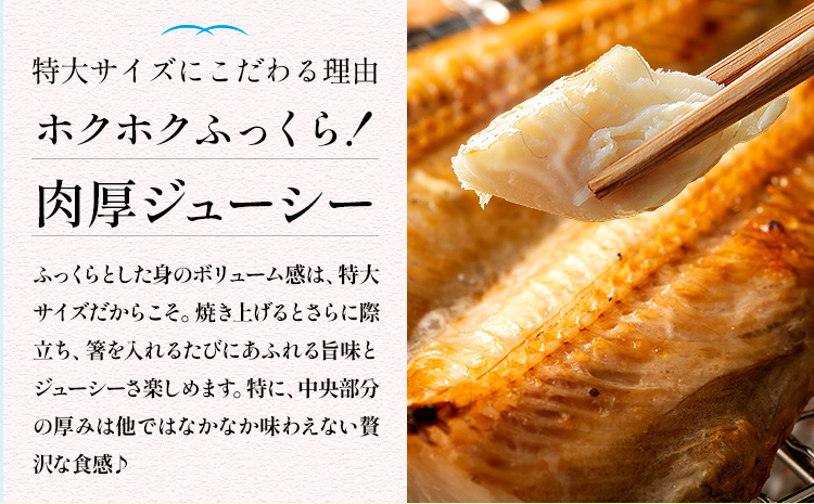 特大 シマホッケ 開き 5枚 約450g 合計 約2.2kg 株式会社西川《6月上旬-6月末頃出荷》千葉県 勝浦市 特大肉厚 シマホッケ しまほっけ ほっけ 送料無料【配送不可地域あり：離島】