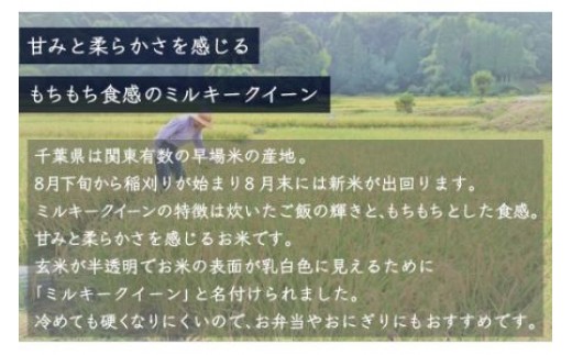 令和8年産 千葉県産「ミルキークイーン」10kg（5kg×2袋） 　A007