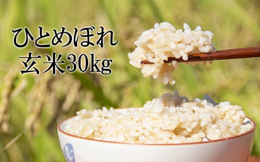 【令和7年産】 ひとめぼれ 玄米 30kg （10kg×3袋） ／ かきのうえ こめ 米 コメ お米 おこめ ご飯 ごはん ライス げんまい げん米 おにぎり お弁当 仕送り お取り寄せ 産地直送 単一原料米 国産 国産米 東北 岩手県産 八幡平市産 数量限定 おすすめ オススメ おいしい 美味しい