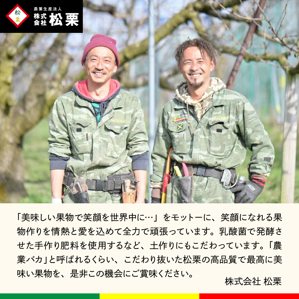 【2026年産】シャインマスカット 秀品 約1.5kg 山形県 東根市 松栗提供 hi062-065_イメージ2