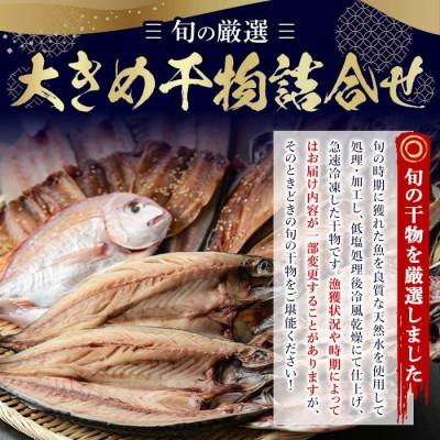 ふるさと納税 日置市 大きめ干物詰合せ 計2.0kg! 【みのだ食品】 No.406-A |  | 01
