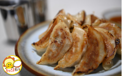【焼いても茹でてもジューシー】おひさま餃子(冷凍餃子) 60個入(30個×2袋) 米粉配合 簡単調理 ごはんのお供 おひさま餃子 【0028-0001-01】