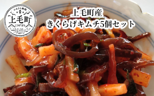 上毛町産　きくらげキムチ5個セット　T06404