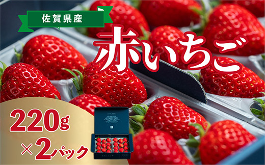 
            佐賀県産赤いちご220ｇ×2パック
          