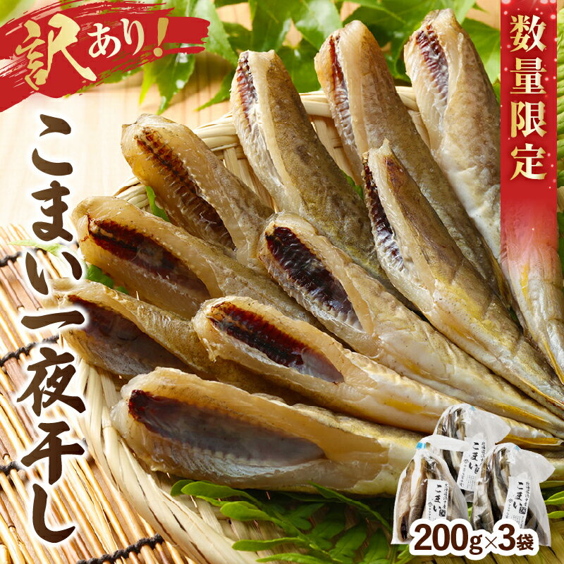 【ふるさと納税】【レビューキャンペーン対象】訳あり 数量限定 こまい 一夜干し 200g×3袋 北海道 浜中町 国産 食品 加工品 魚 魚介類 海鮮 海の幸 海産物 コマイ 新鮮 干物 惣菜 焼き魚 おかず おつまみ ご飯のお供 BBQ 人気 おすすめ おすそ分け 家庭用 冷凍 送料無料