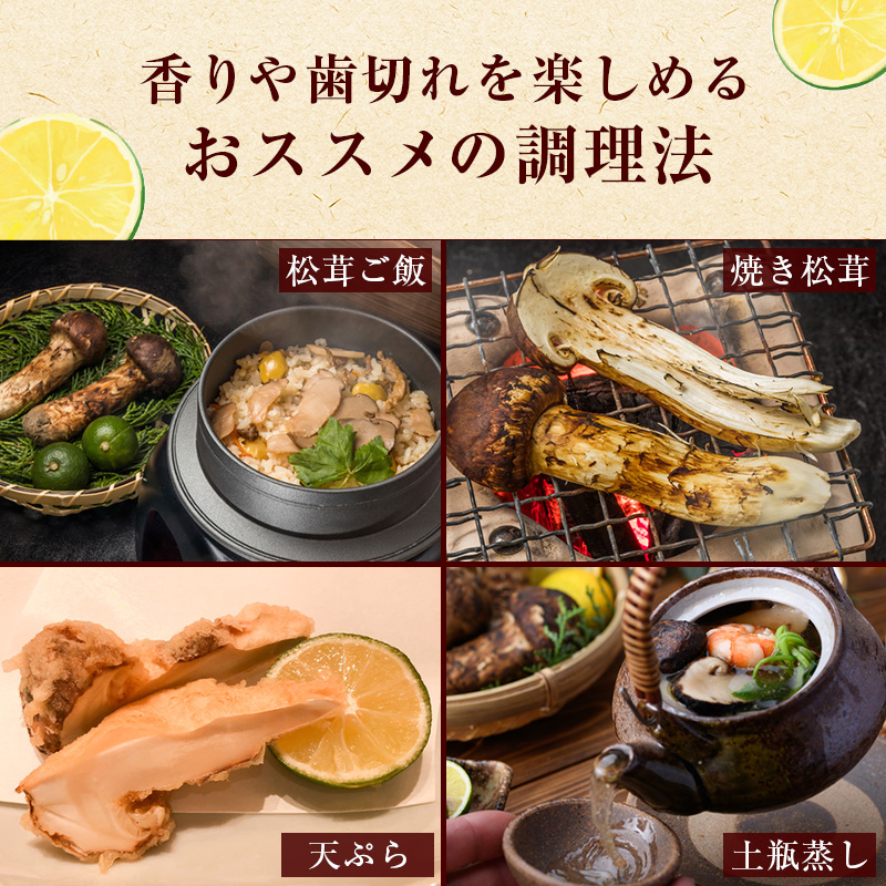 信州産「天然松茸」（約600g/6～22本） 野菜 きのこ まつたけ
