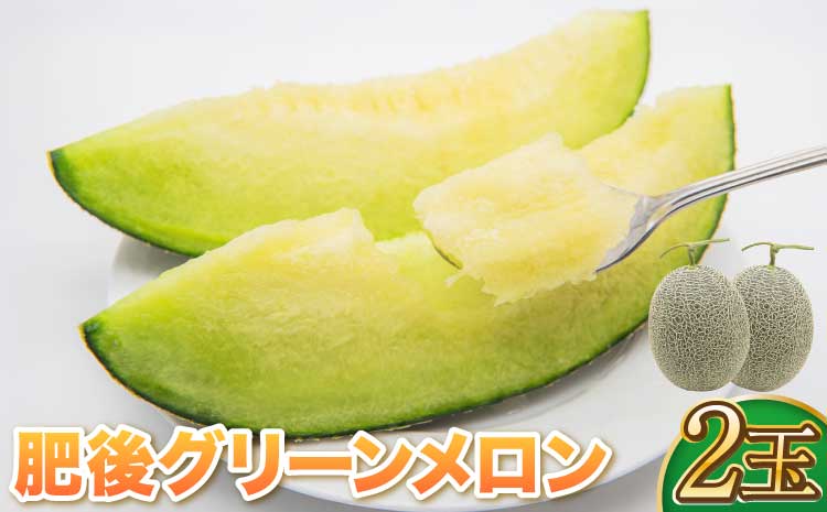 肥後グリーン メロン 2玉 藤山農園【2026年7月上旬〜7月下旬頃順次発送予定】