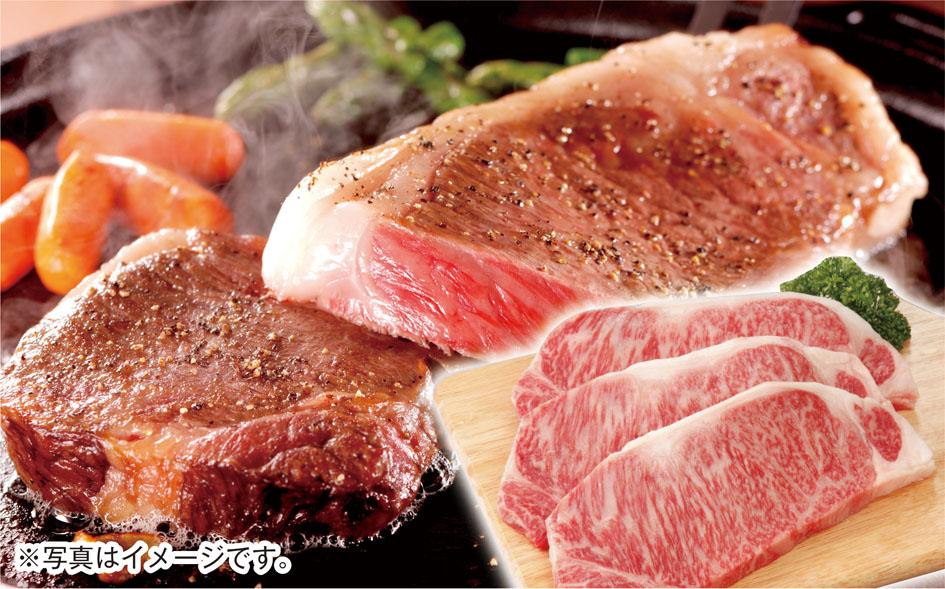 ※画像はイメージです