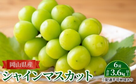 ぶどう 【2026年 先行予約】 シャインマスカット 6房 合計3.6kg以上 岡山県産 シャインマスカット