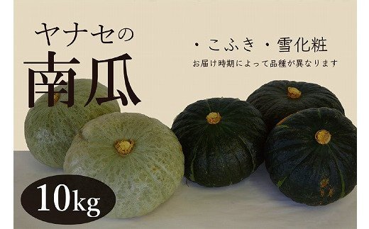 R7年産 南瓜 約10kg ヤナセ農園 | 北海道津別町