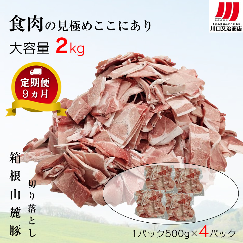 169-2570　【定期便９ヵ月】箱根山麓豚　モモ・ウデ切り落とし２K盛り(500ｇ×４パック)【 箱根山麓豚 切り落とし 神奈川県 小田原市 】