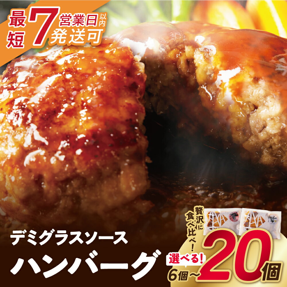 どっちのハンバーグ!?デミグラスソース20個セット