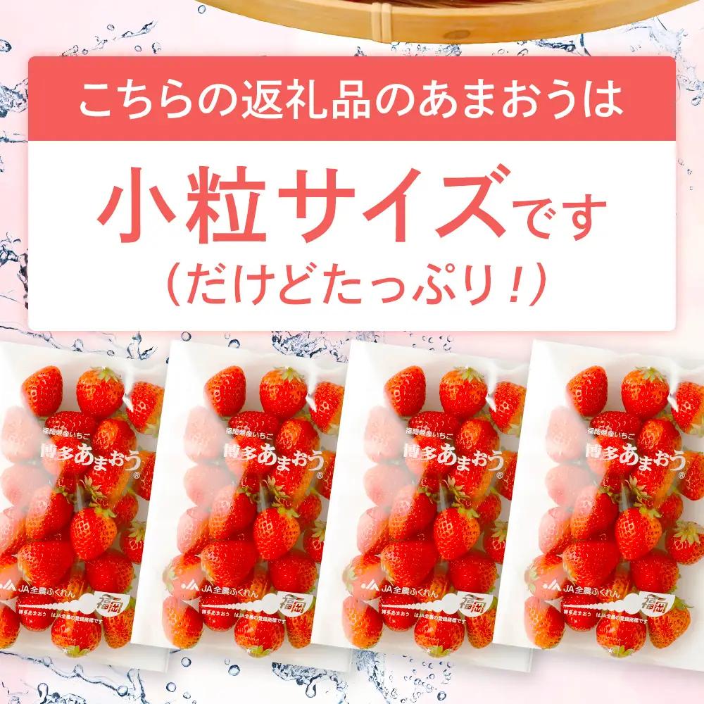 訳あり 小粒いちご あまおう 合計約1240g 約310g×4パック【2027年2月より順次発送】 いちご