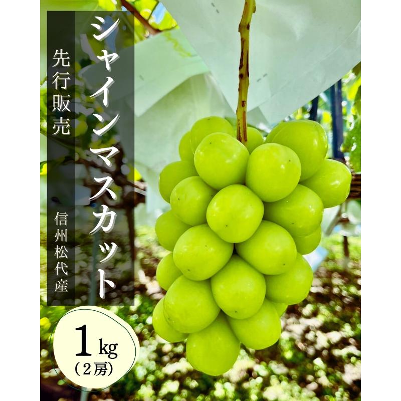 【ふるさと納税】ぶどう シャインマスカット1kg 果物 信州 長野県 長野市 　お届け：9月下旬～10月下旬