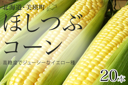 とうもろこし  ほしつぶコーン ２０本【令和８年産予約受付】 北海道とうもろこし [016-90]