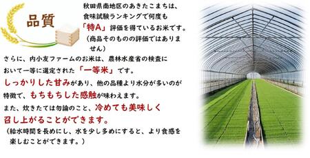 令和6年産 秋田県産あきたこまち 一等米 農家直送 無洗米10kg　内小友ファーム