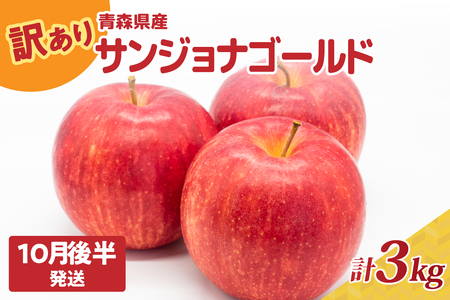 【2025年10月後半発送】りんご【訳あり】約3kg サンジョナゴールド | 青森県産りんご 家庭用りんご