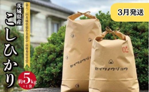 【令和7年度】茨城県産 コシヒカリ ５ｋｇ(3月発送)
