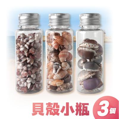 ふるさと納税 天草市 貝殻小瓶3本セット_S183-005