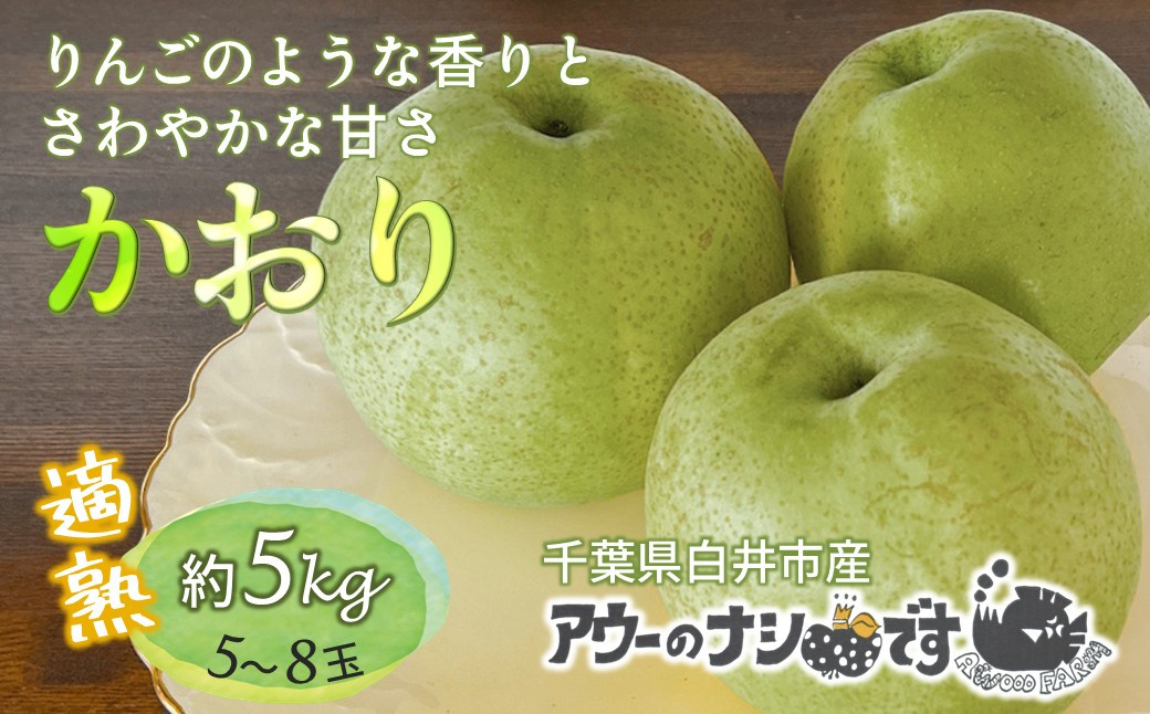 
            【今秋収穫分】 梨 かおり アウーのナシです 5kg 5～8玉 農家直送 希少品種 千葉県白井市 予約受付
          