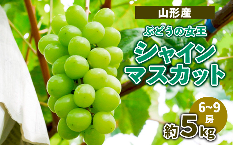 
山形産ぶどうの女王 シャインマスカット　約5kg　（6～9房） 【令和6年産先行予約】FS23-716

