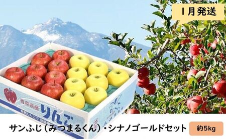 りんご 【 1月発送 】 蜜入り サンふじ （ みつまるくん ） シナノゴールド セット 約 5kg 【 弘前市産 青森りんご  果物類 林檎 リンゴ  】