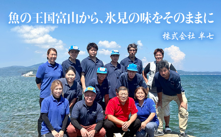 氷見港朝獲れ高級魚！丸っと贅沢直送便！　船上氷上締め　神経〆処理 富山 氷見 直送 詰め合わせ 鮮魚ボックス
