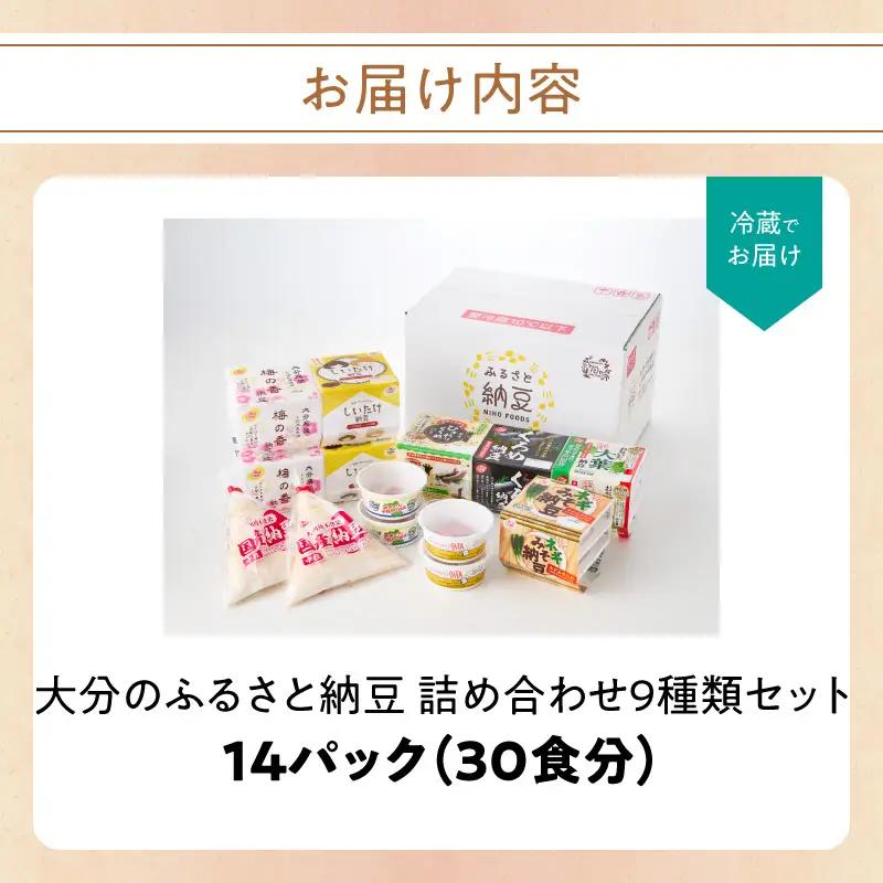 大分のふるさと納豆 詰め合わせ9種類セット K05005