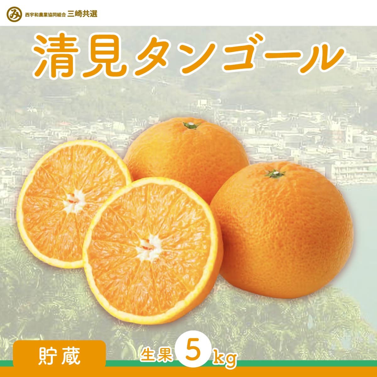 【ふるさと納税】【先行予約】清見タンゴール（貯蔵・生果5kg）※離島への配送不可（2026年4月下旬より順次発送予定）【 ふるさと納税 人気 おすすめ ランキング 柑橘 みかん ミカン 清見 清見タンゴール 蜜柑 果物 フルーツ 愛媛県産 愛媛県 伊方町 送料無料 】 IKTBD007