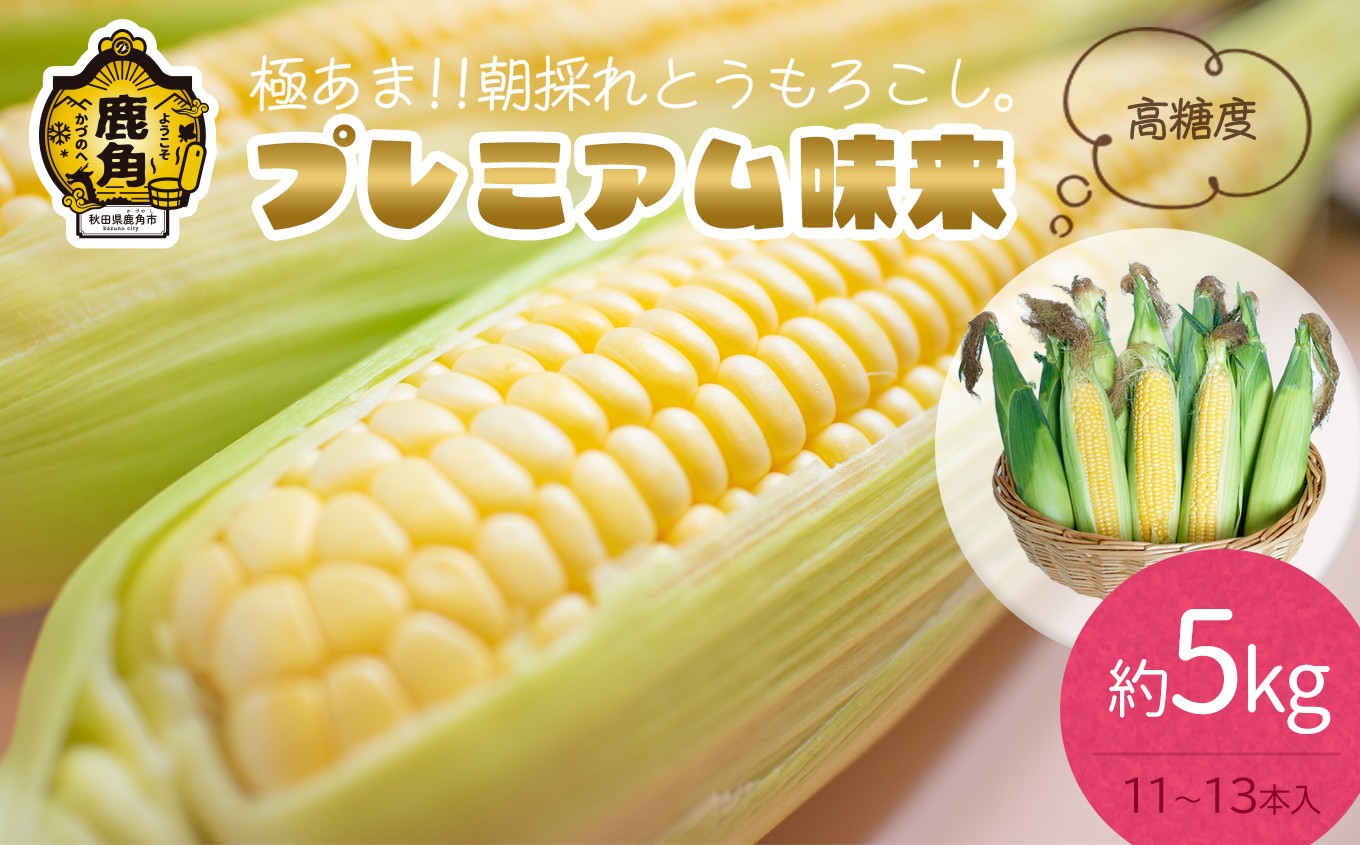 
                  《 先行予約 》秋田県鹿角産 朝採り プレミアム味来 約5kg（11～13本）【さとう農園】●2026年8月中旬発送開始 朝採り 甘い 秋田県 鹿角産 新鮮 野菜 安全 トウモロコシ スイートコーン 中元 お歳暮 母の日 父の日 グルメ ギフト 故郷 秋田 あきた 鹿角市 鹿角 送料無料 
                