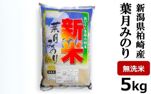 【先行予約・8月下旬～発送】葉月みのり 無洗米 5kg 中村農研 令和8年産新米 極早生 新潟米[Y0545]
