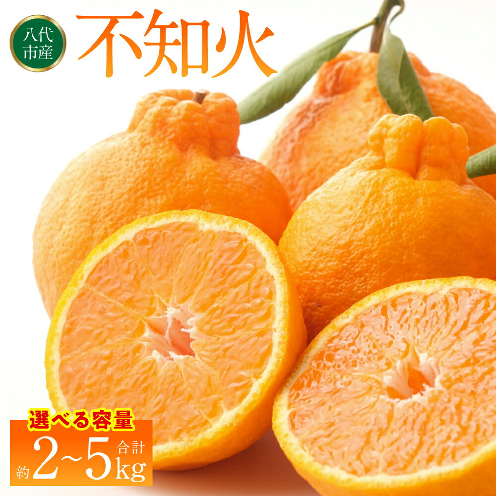 【ふるさと納税】【先行予約】 不知火（デコポンと同品種） 約2kg～約5kg 【選べる内容量】 しらぬい でこみかん 柑橘 ミカン ポンカン くだもの 果物 フルーツ 送料無料 【2026年1月下旬より順次発送】