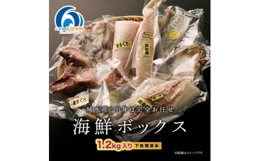 
										
										（冷凍）南伊勢 海鮮 お宝 ボックス 1.2kg 伊勢志摩 ／ 城水産 ふるさと納税 おすすめ 返礼品 美味しい 魚 マグロ 鮪 鯛 ブリ 新鮮 真空パック カマ 刺身 海の幸 お取り寄せ 三重県
									