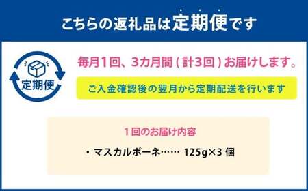 【3ヶ月定期便】 マスカルポーネ 125g×3個 セット 計9個 チーズ マスカルポーネチーズ フレッシュチーズ 乳製品 冷蔵 [027-0122]