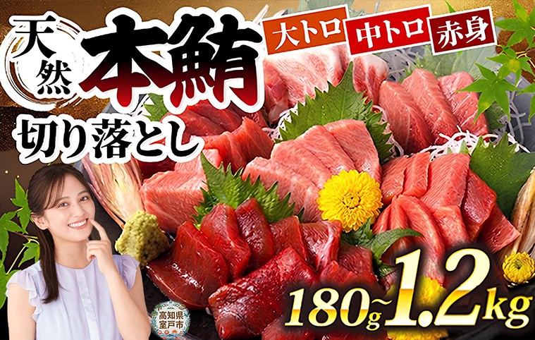 
                  天然 本マグロ 中トロ 大トロ 赤身 切り落とし お手軽 ちょこっとパック 1.2kg から 300g 小分け 60g 食べきりサイズ 中とろ 大とろ あかみ 切落し マグロ 鮪 クロマグロ 海産物 魚 刺身 さしみ 漬丼 漬け丼 おかず 海鮮丼 寿司 魚介類 魚介 海鮮 簡単調理 惣菜 訳あり 規格外 父の日 不揃い ランキング 冷凍 人気 10000円 1万円 おすすめ 高知県 室戸市
                