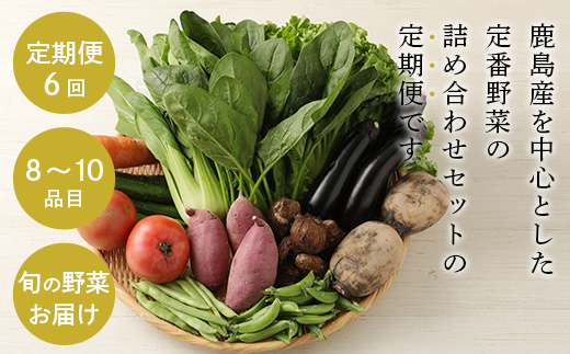 E-72 【６ヶ月お届け】旬のおまかせ野菜BOX定期便
