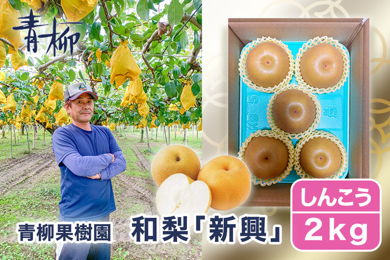 
                  【2026年先行予約】青柳果樹園の和梨 新興 2kg (3～5玉)《11月上旬～順次出荷》しんこう フルーツギフト 加茂市 青柳果樹園
                