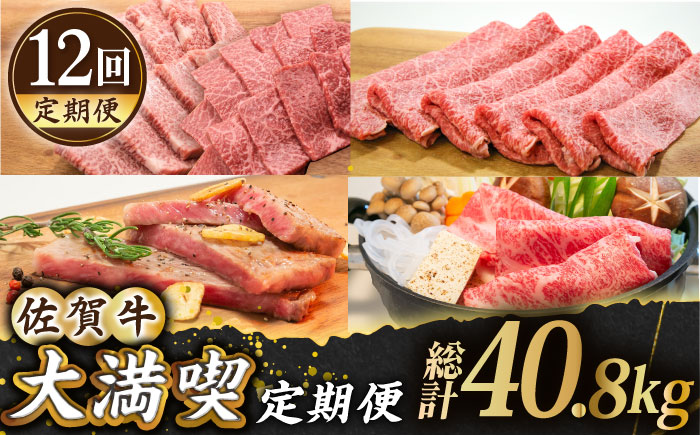 【全12回定期便】佐賀牛 大満喫定期【田中畜産牛肉店】 [HBH043]